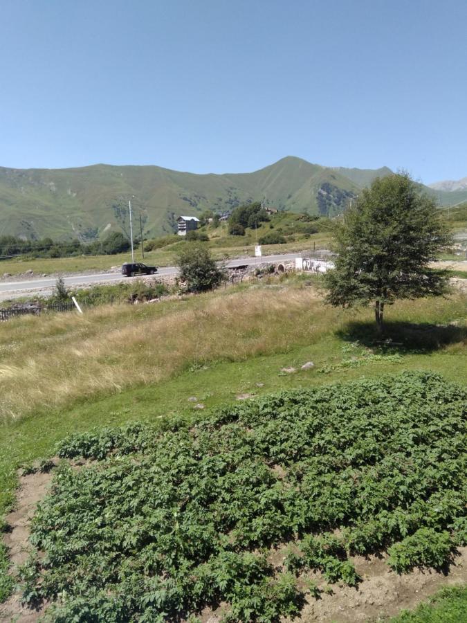 Family Hotel Mtamta Gudauri Exterior foto